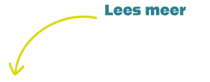 CSR 2 lees meer