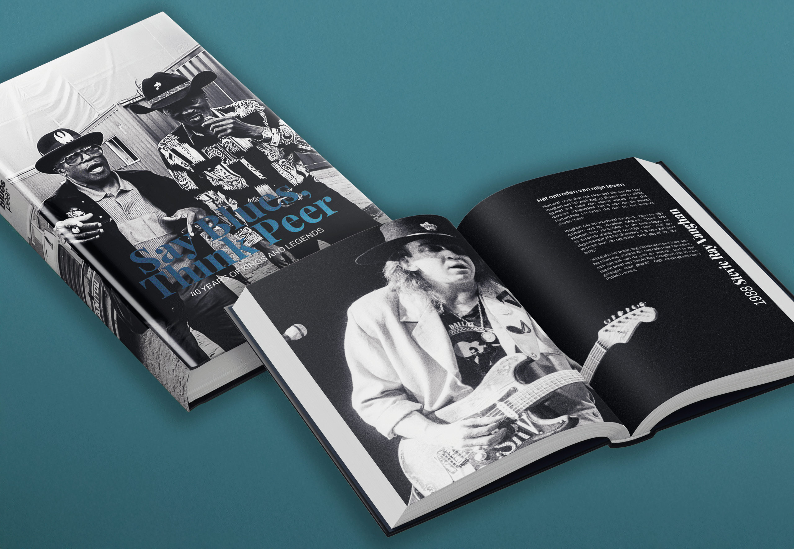 Website Realisatie Blues Peer 1 scaled